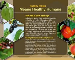 स्वस्थ पौधों का अर्थ है स्वस्थ मनुष्य