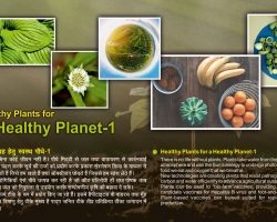 एक स्वस्थ ग्रह के लिए स्वस्थ पौधे भाग 1