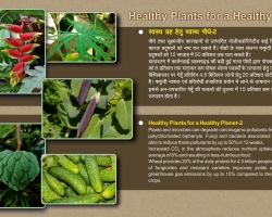 एक स्वस्थ ग्रह भाग 2 के लिए स्वस्थ पौधे