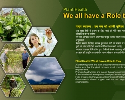 Plant Health we all have a role to play