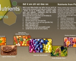 Nutrients from Plants