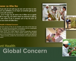 Plant Health a global concern